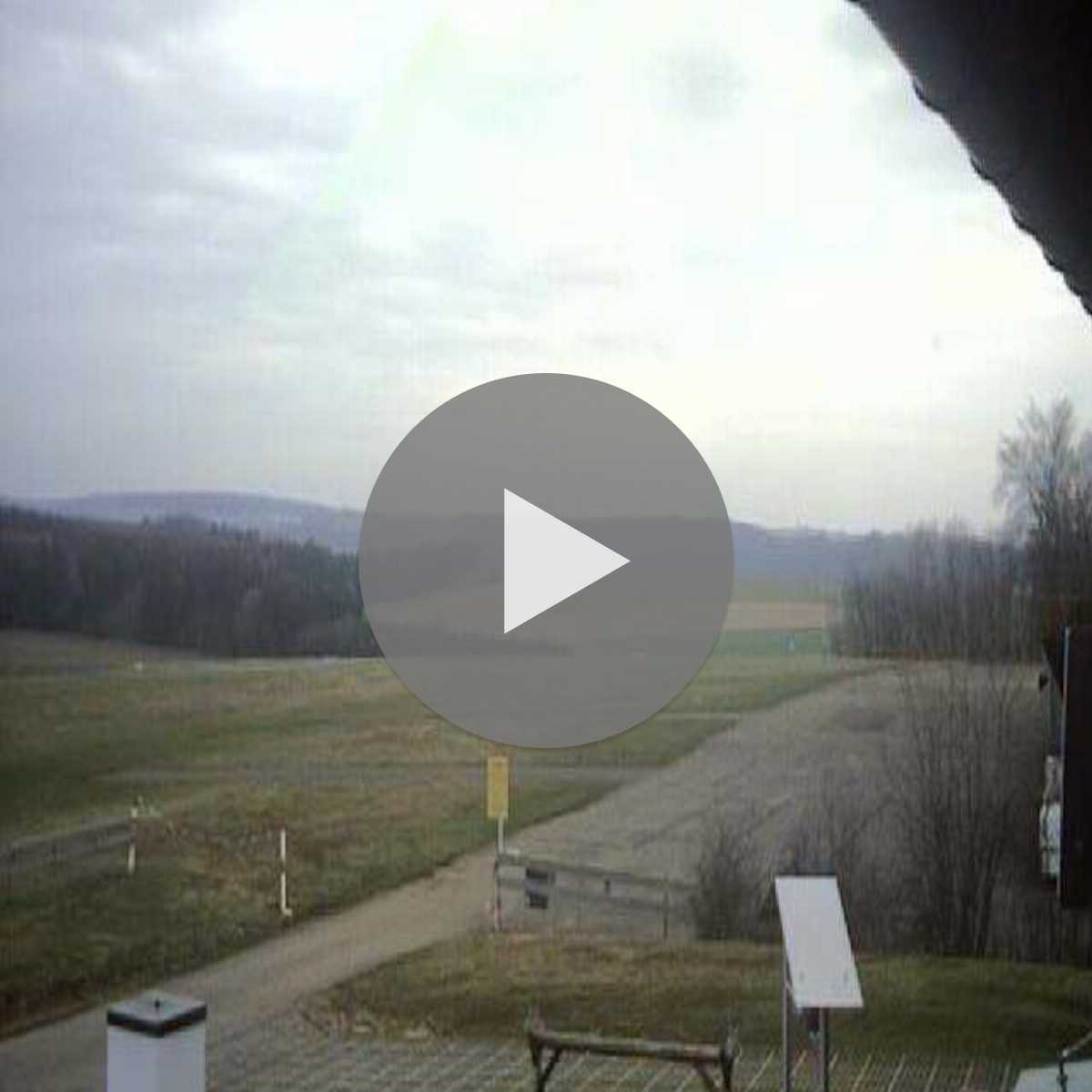 Schallstadt webcam