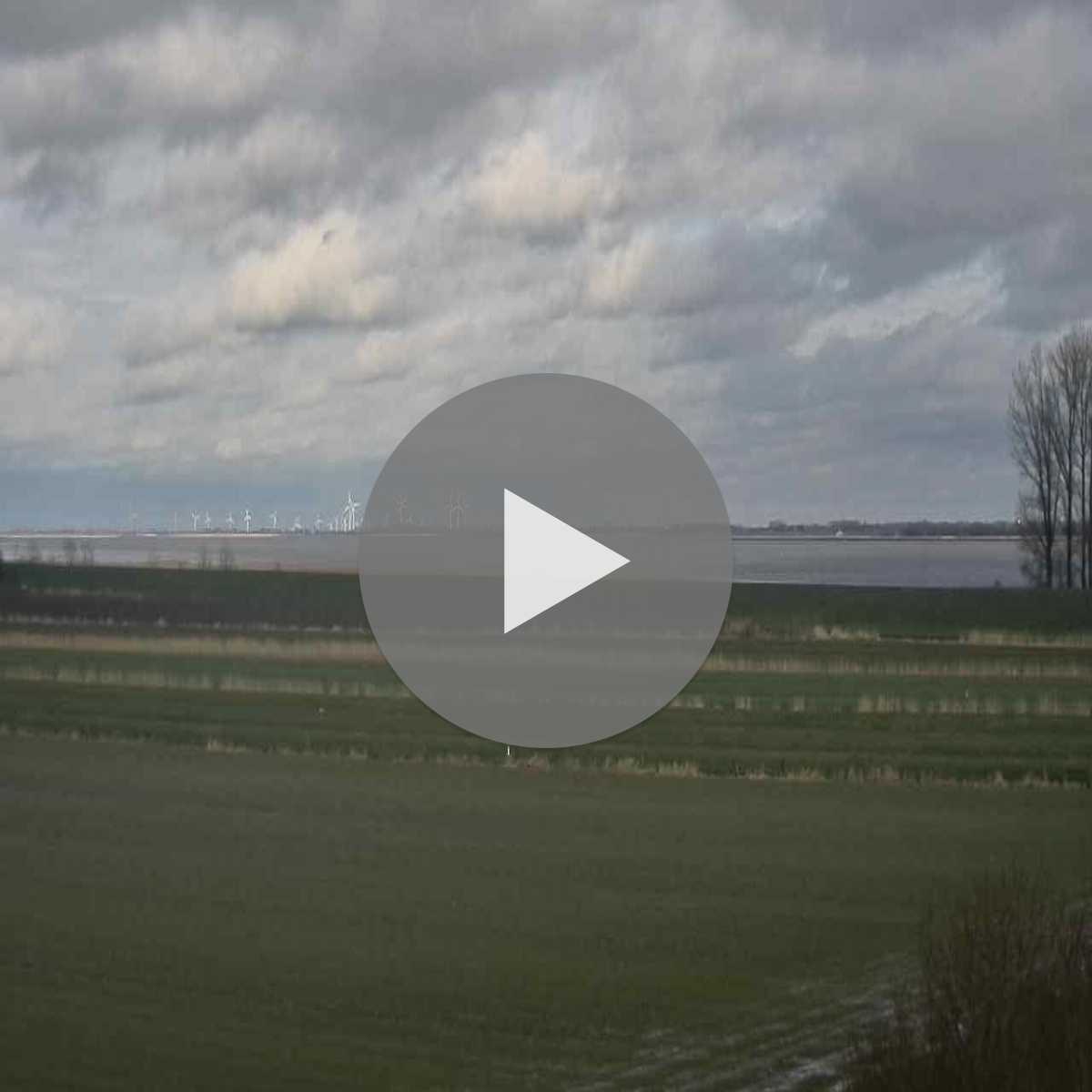 Reppenstedt webcam
