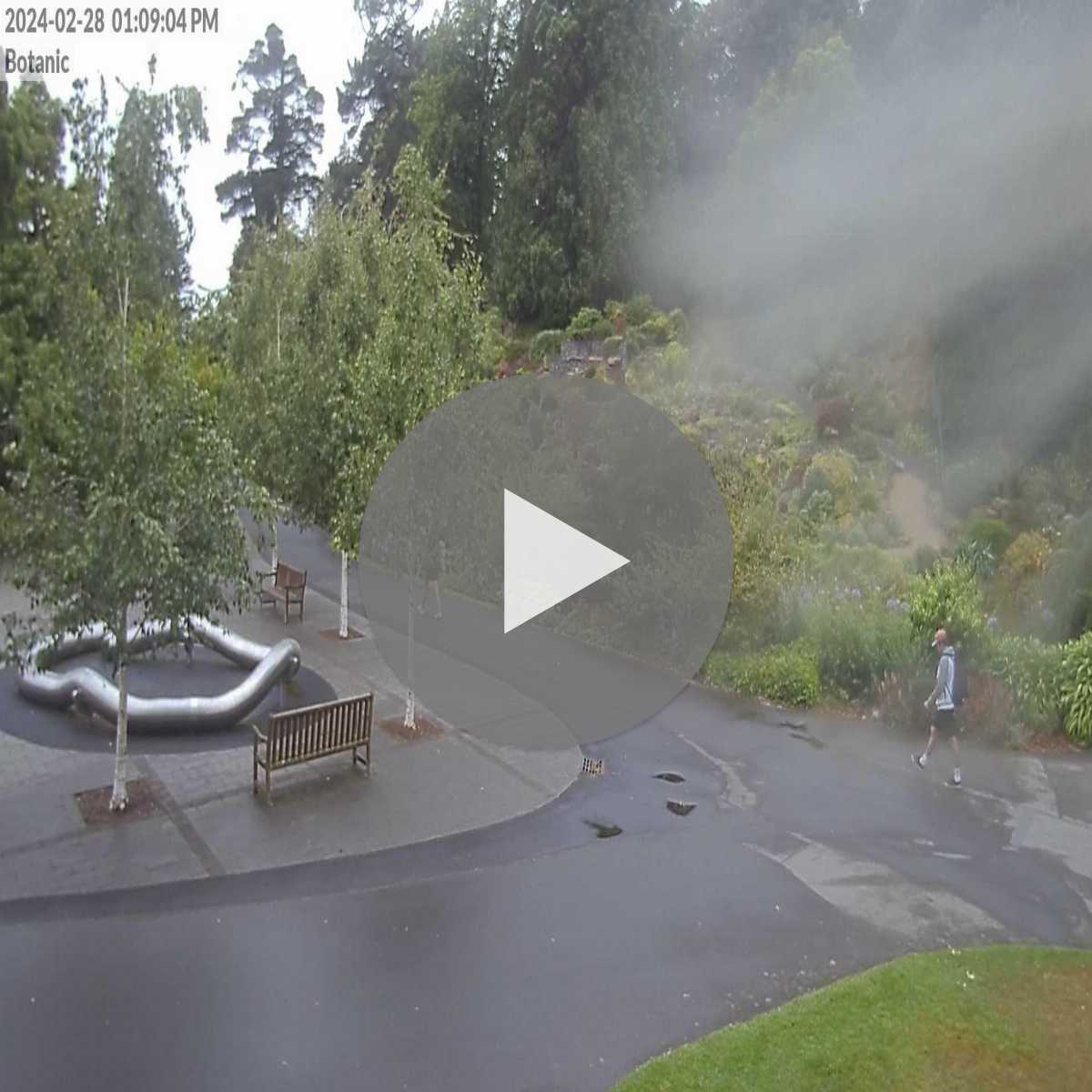 Waikouaiti webcam