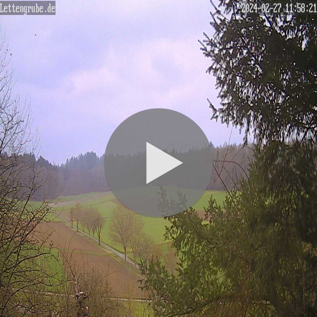 Schallstadt webcam