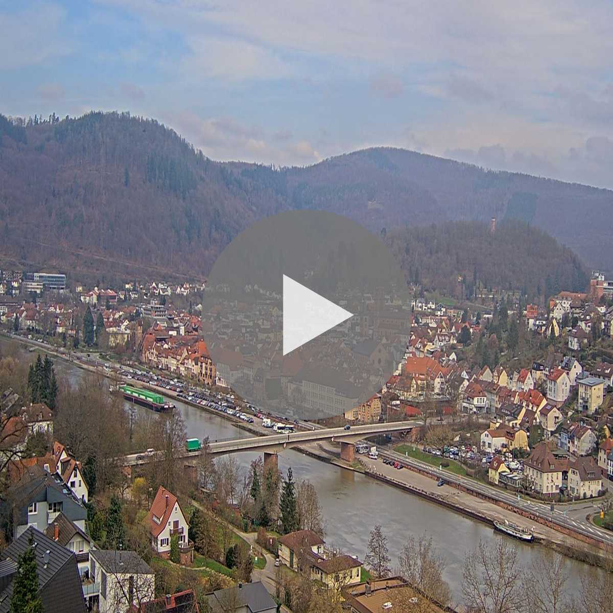 Schallstadt webcam