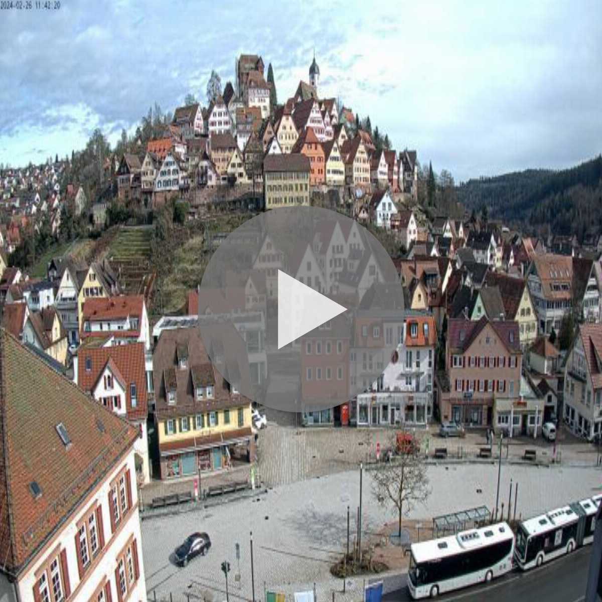 Schallstadt webcam