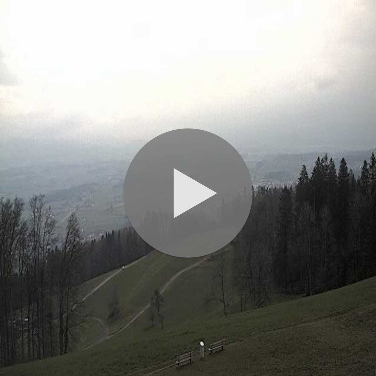 Richterswil webcam