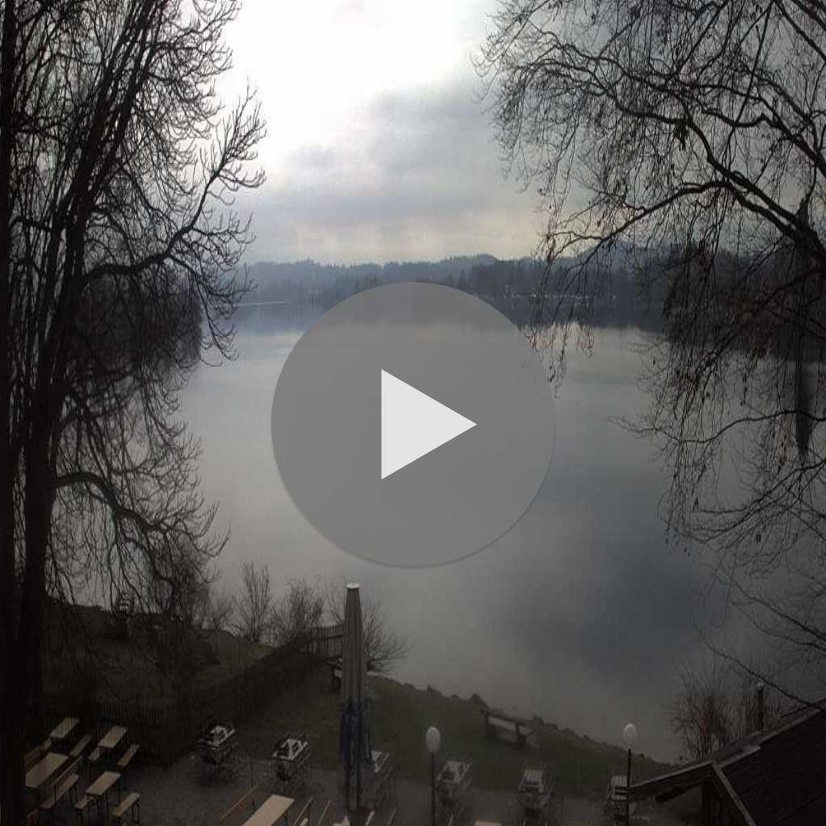 Zachenberg webcam