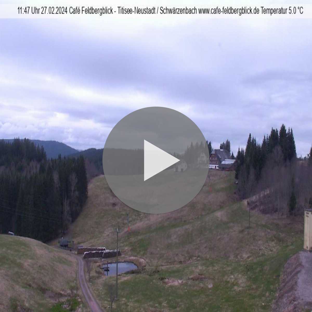 Schallstadt webcam