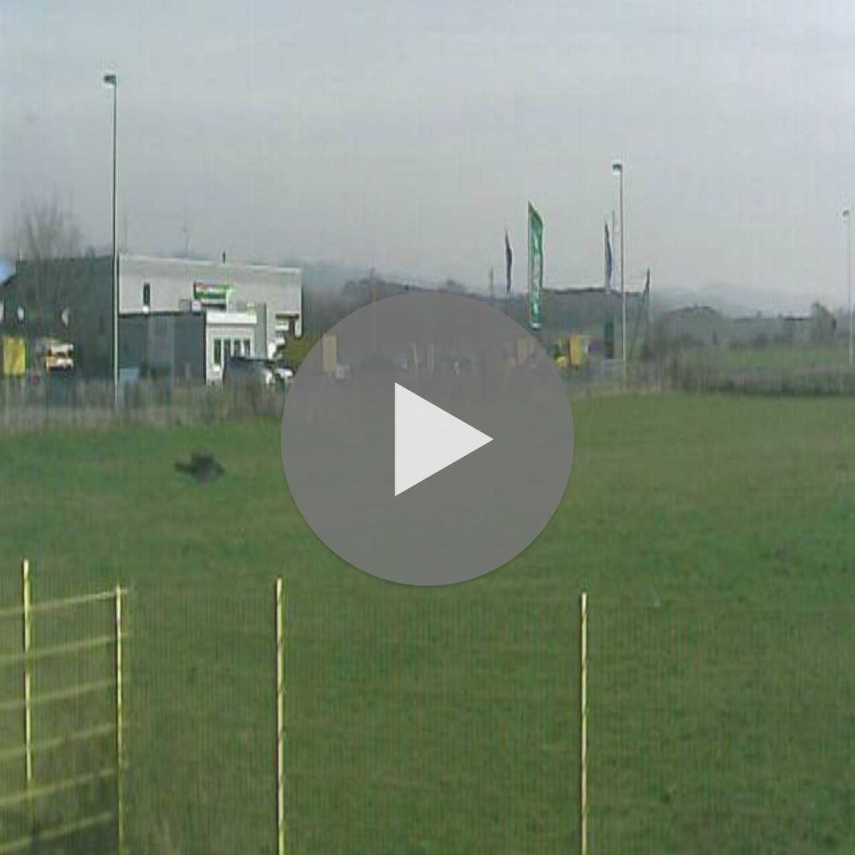 Reppenstedt webcam