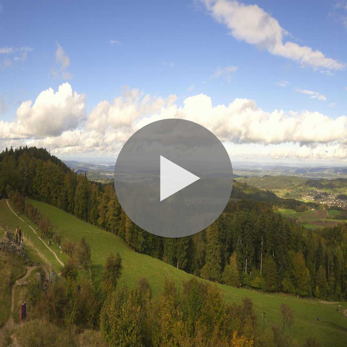 Richterswil webcam