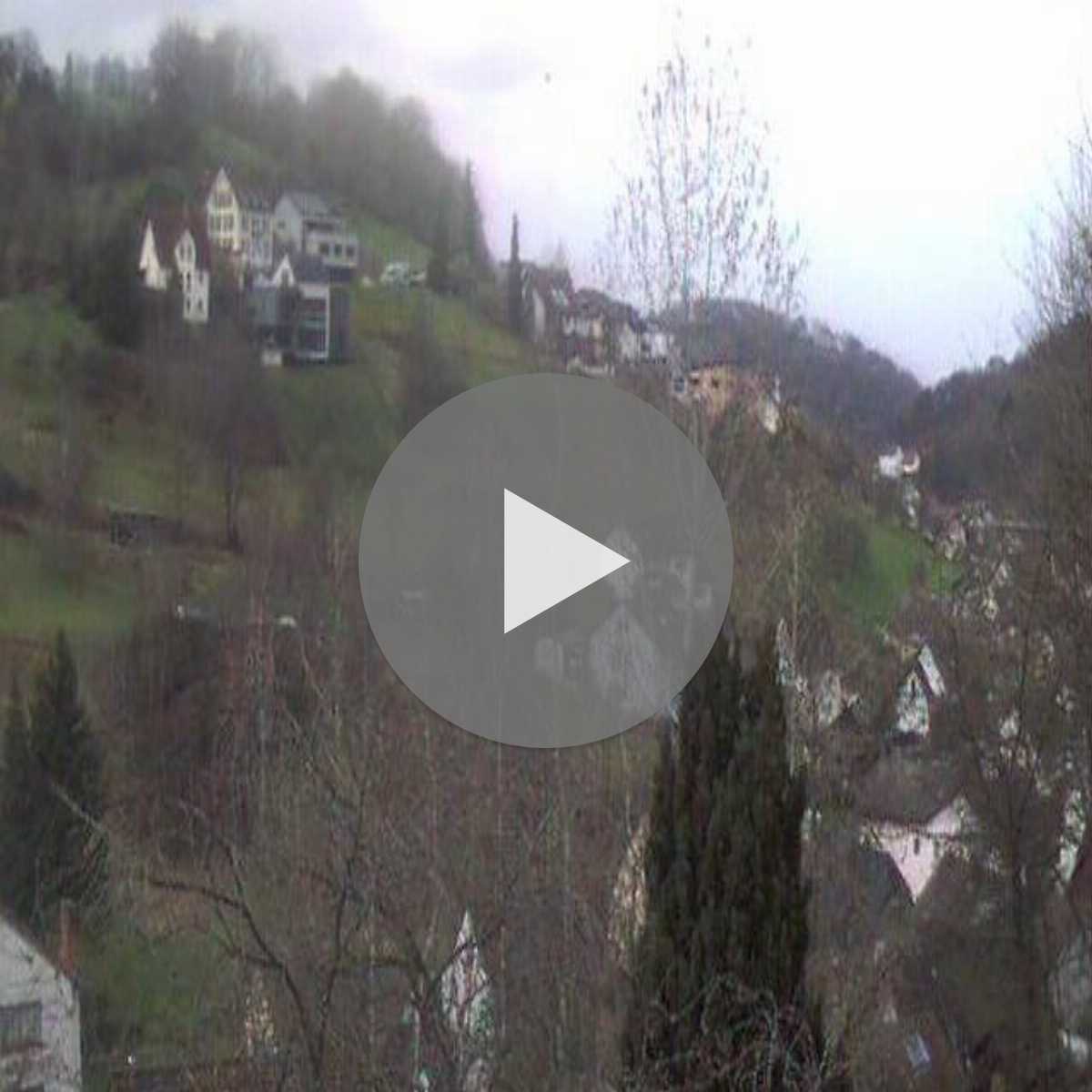 Zachenberg webcam