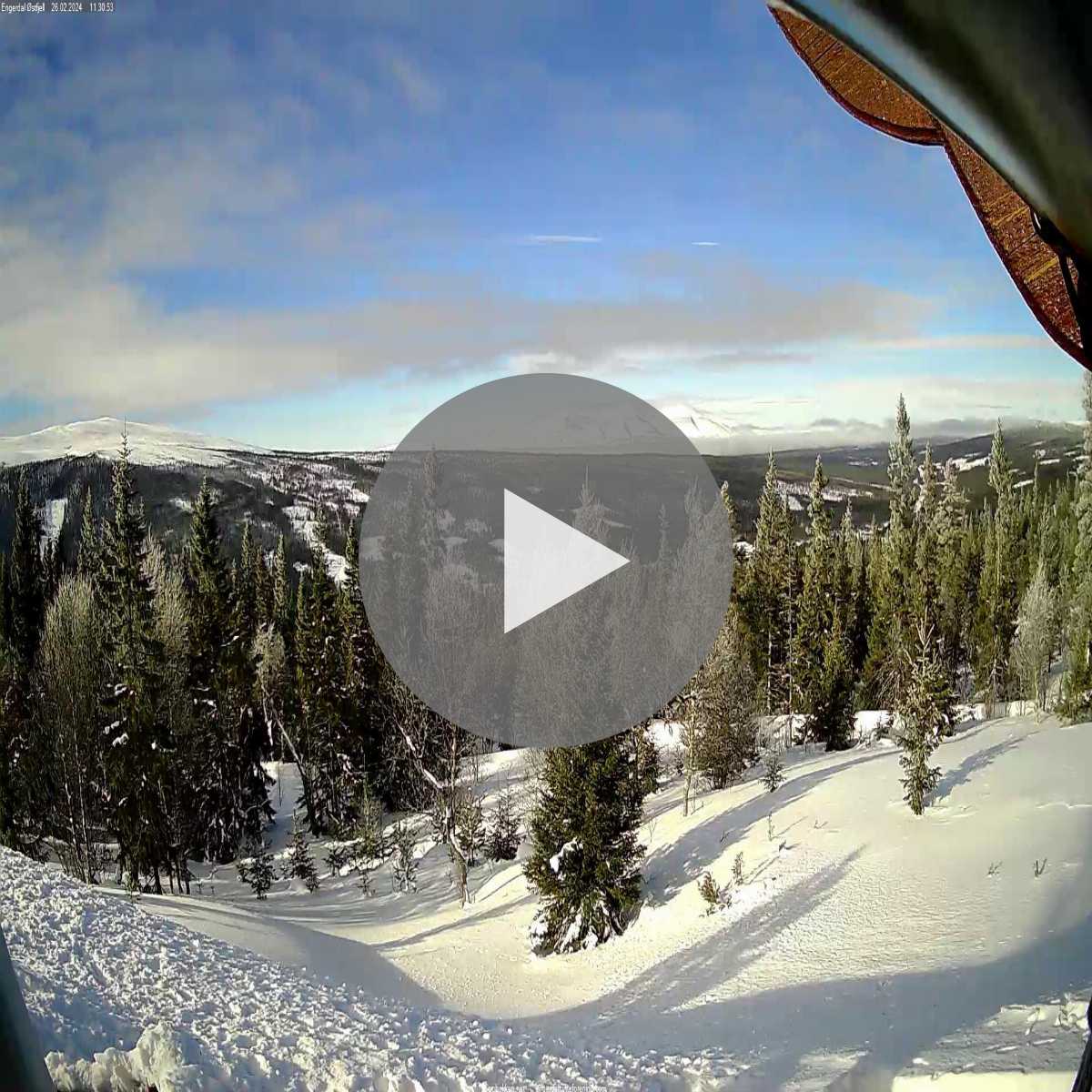 Lora webcam