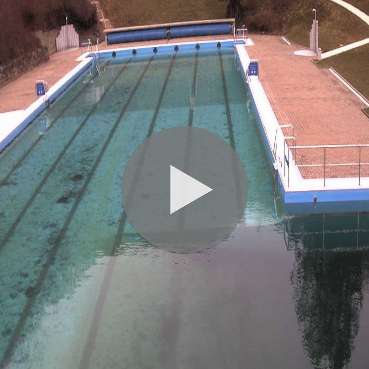 Schallstadt webcam