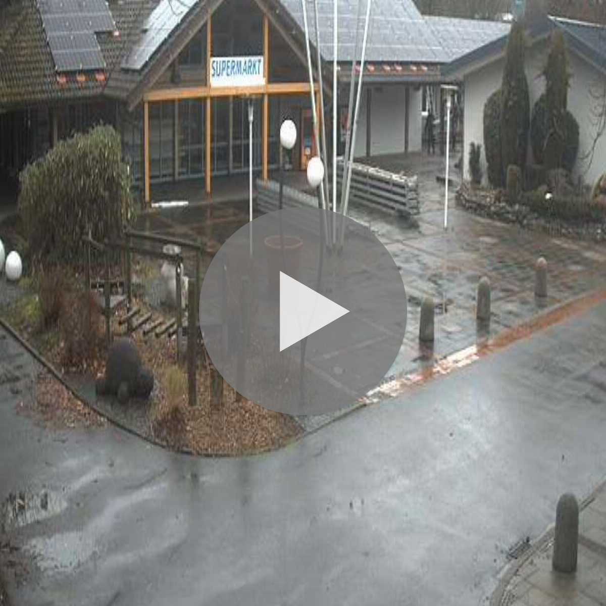 Schallstadt webcam