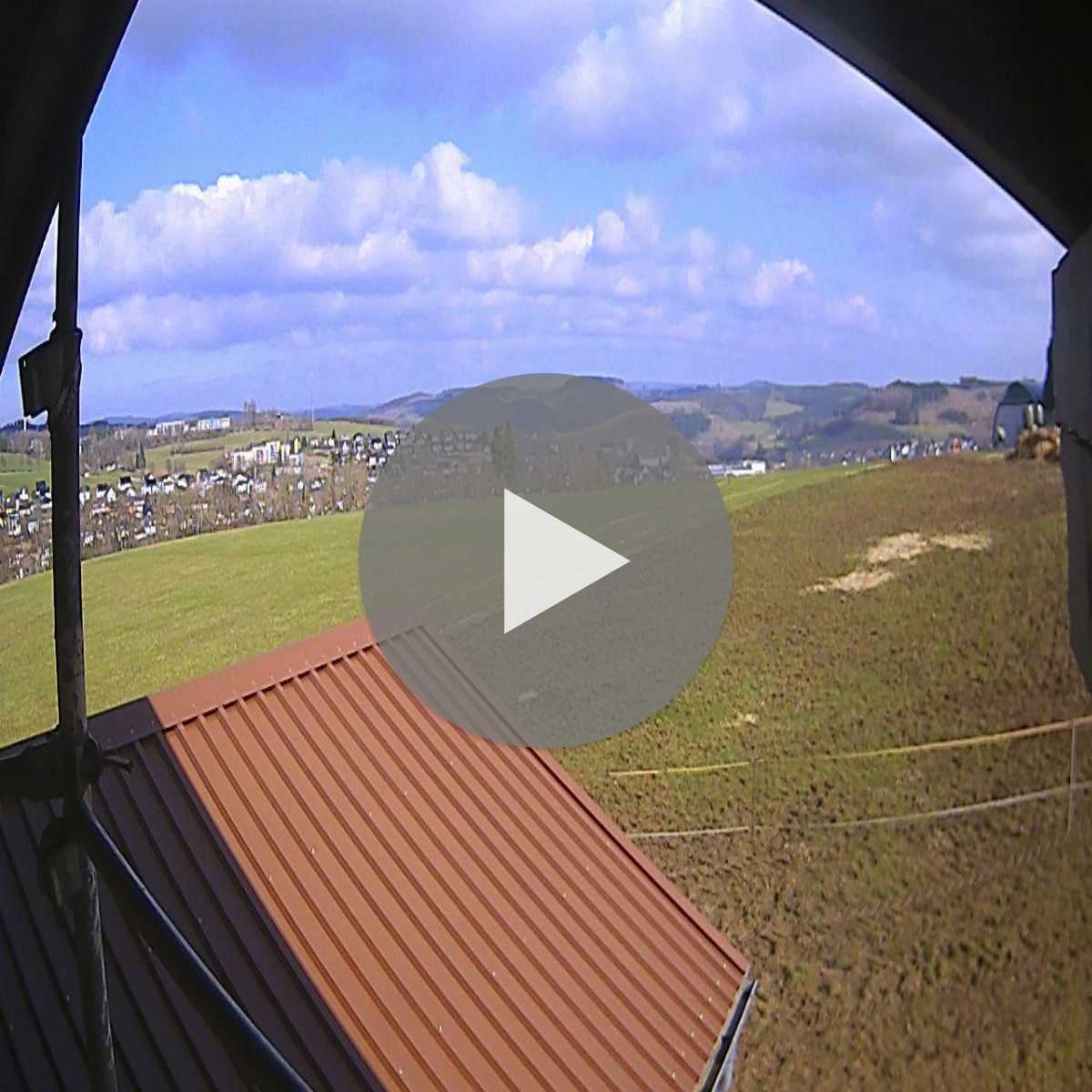 Riesenbeck webcam