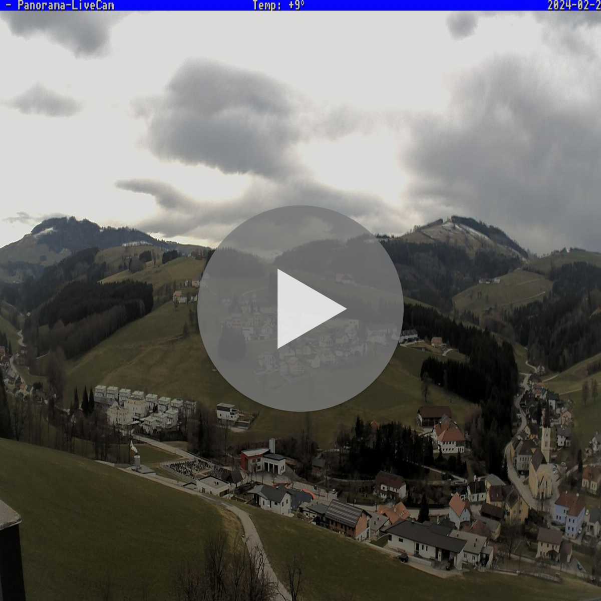 Ertl webcam