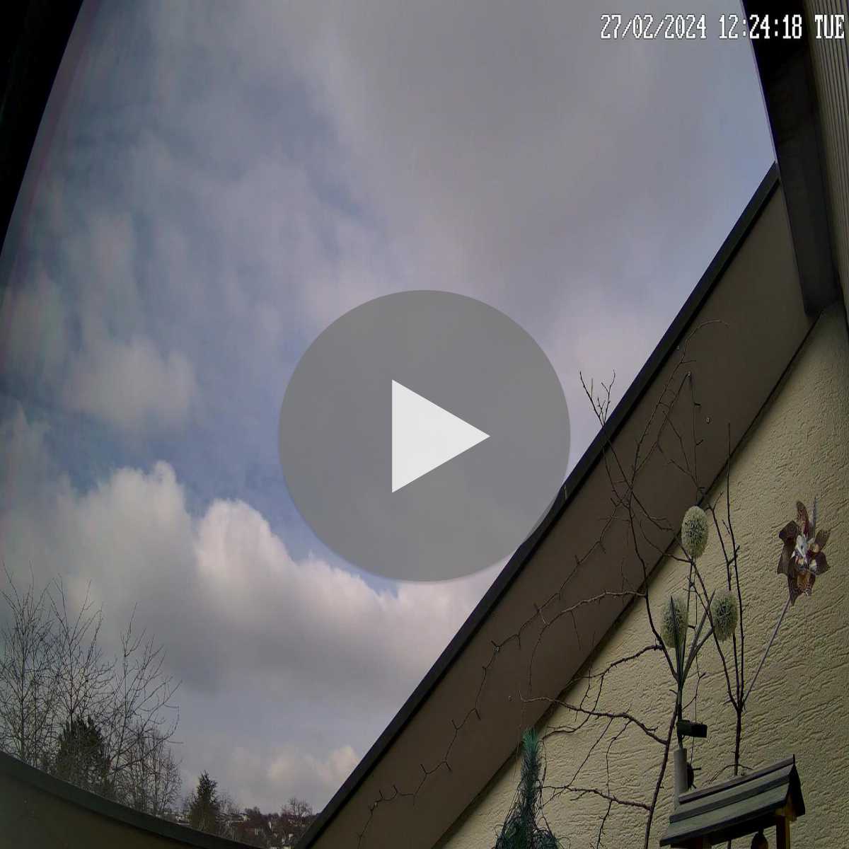 Schallstadt webcam