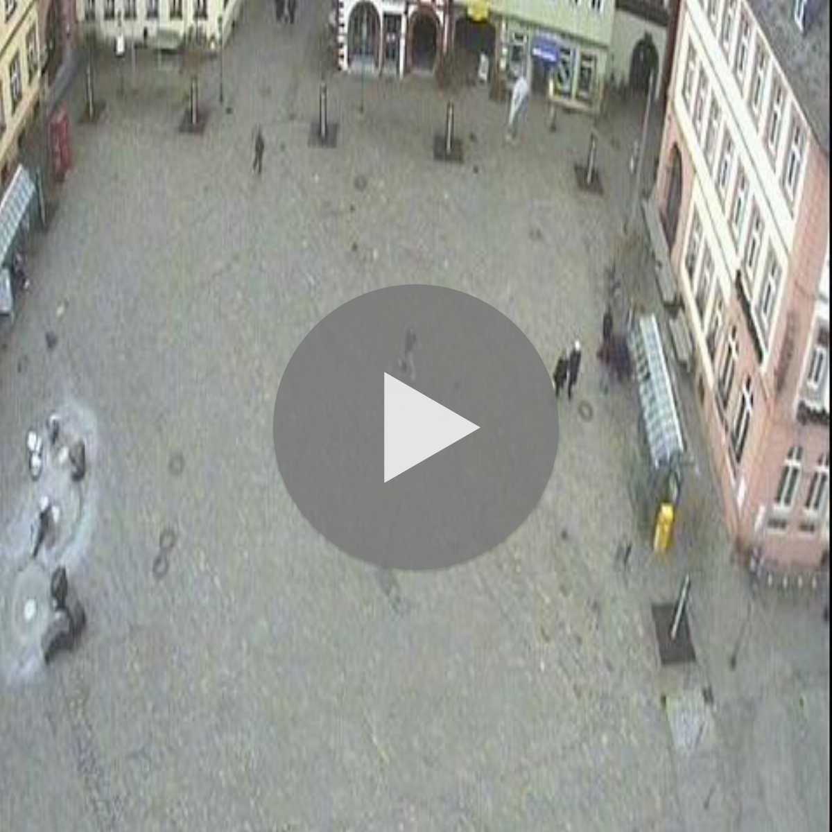 Zachenberg webcam
