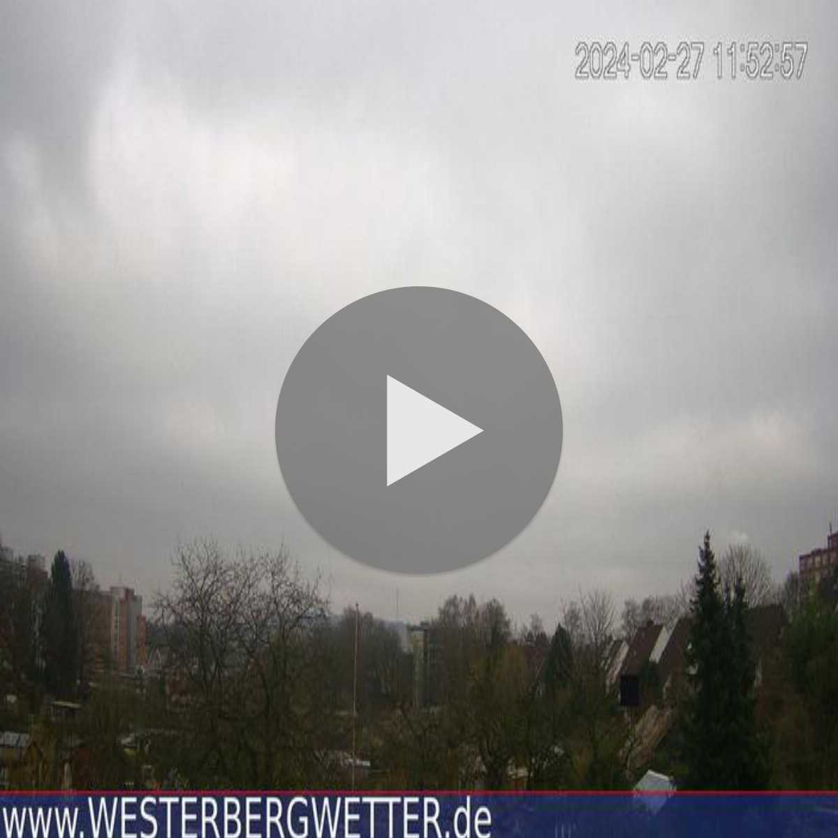 Reppenstedt webcam