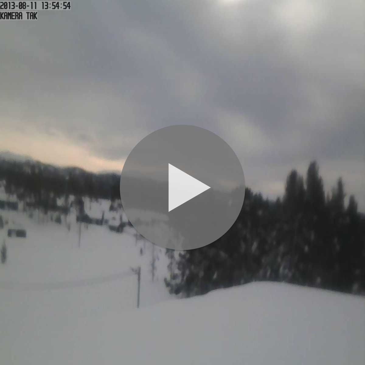 Lora webcam