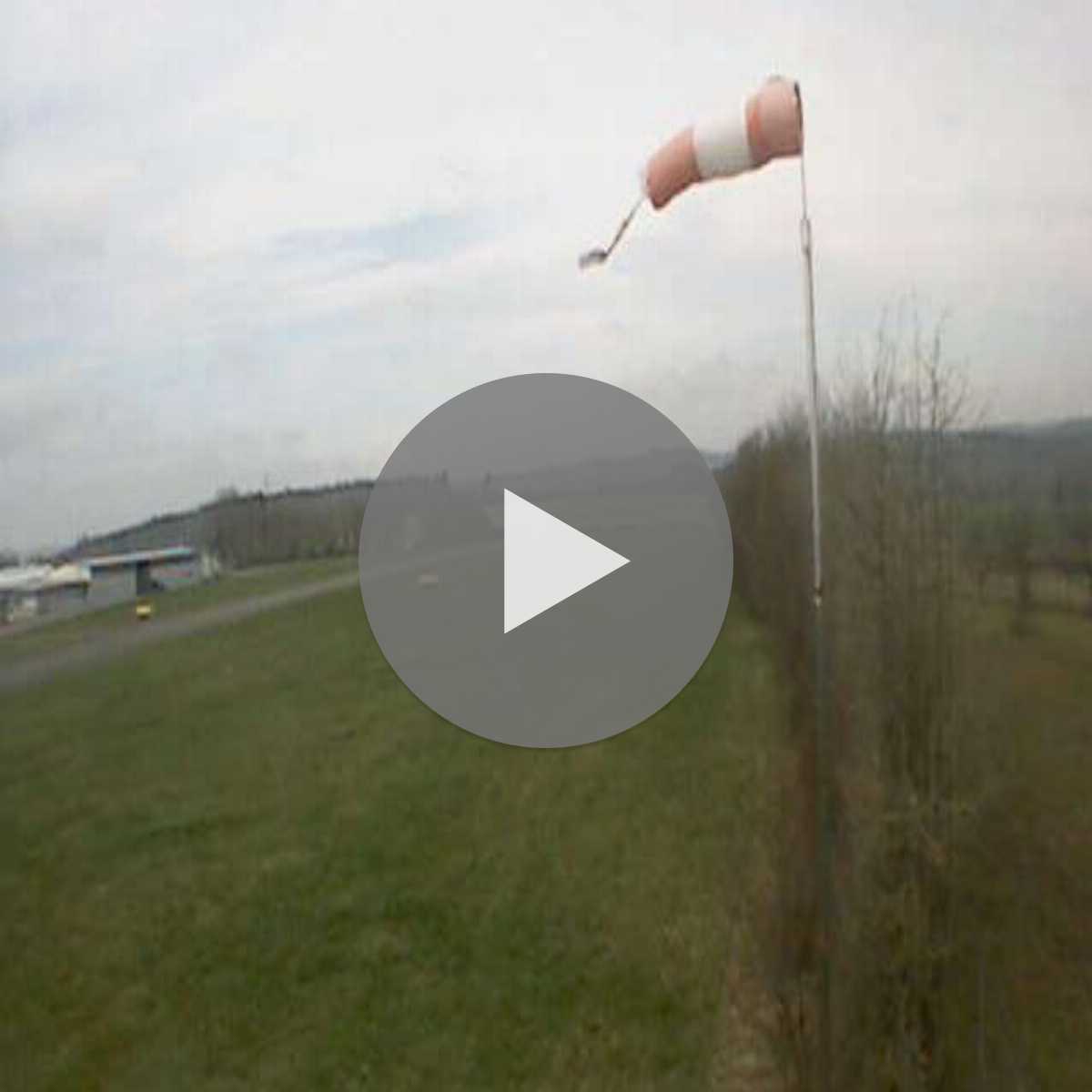 Schallstadt webcam
