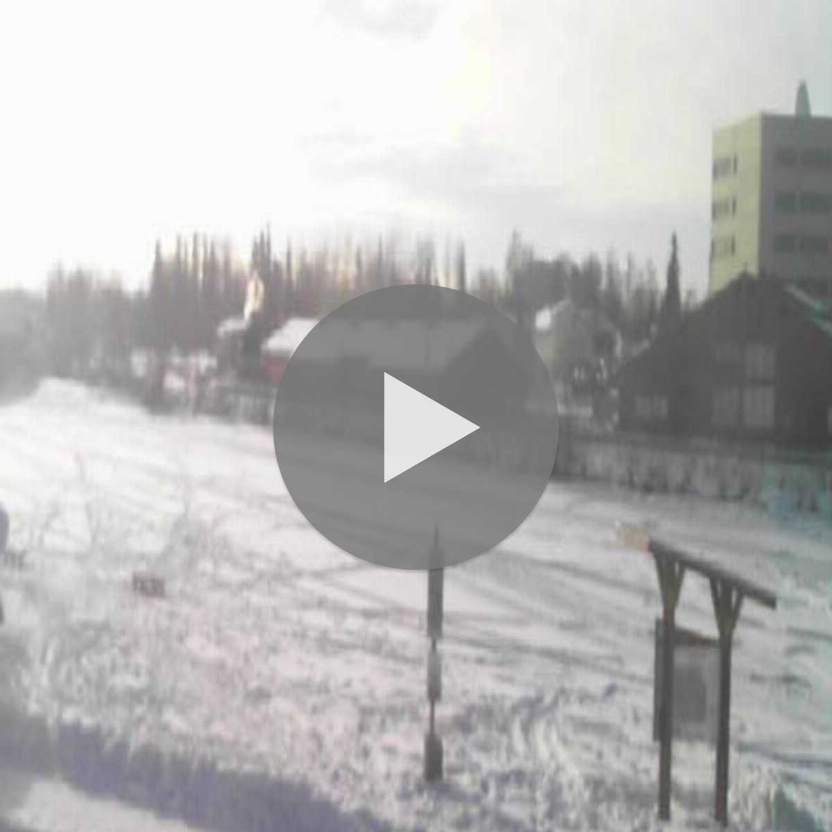 Homer webcam