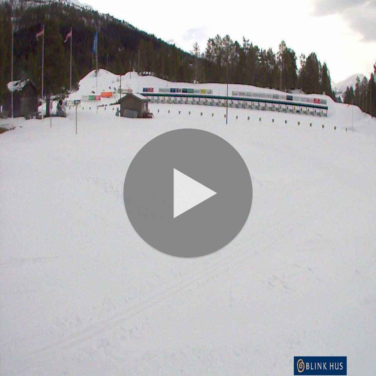 Floro webcam