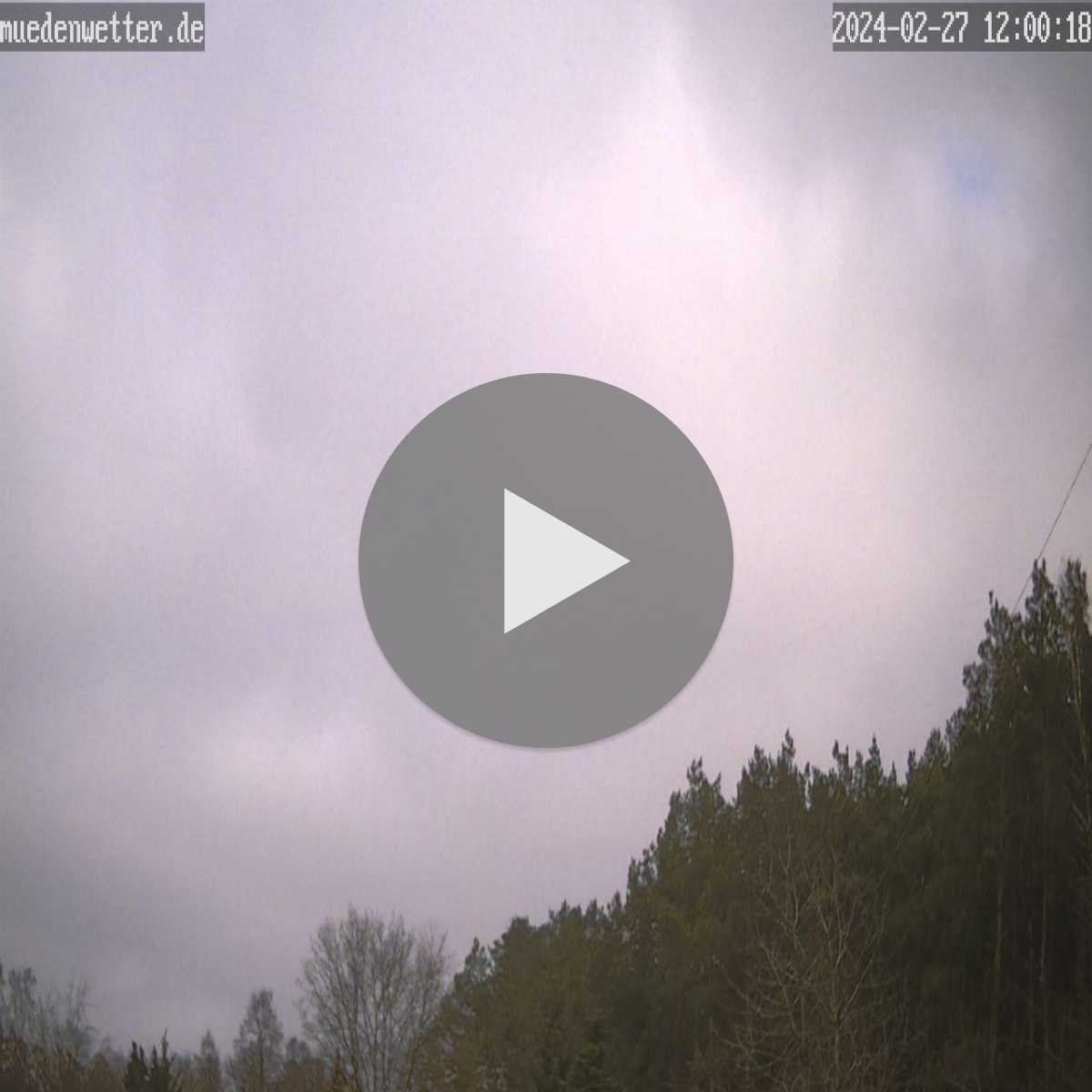 Reppenstedt webcam