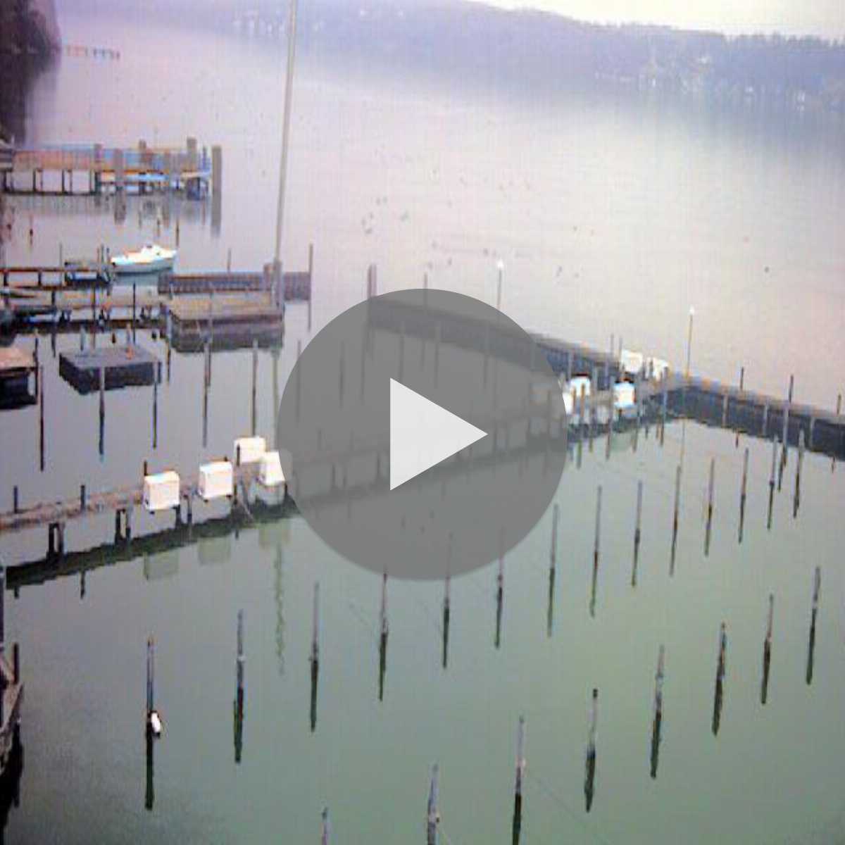 Zachenberg webcam