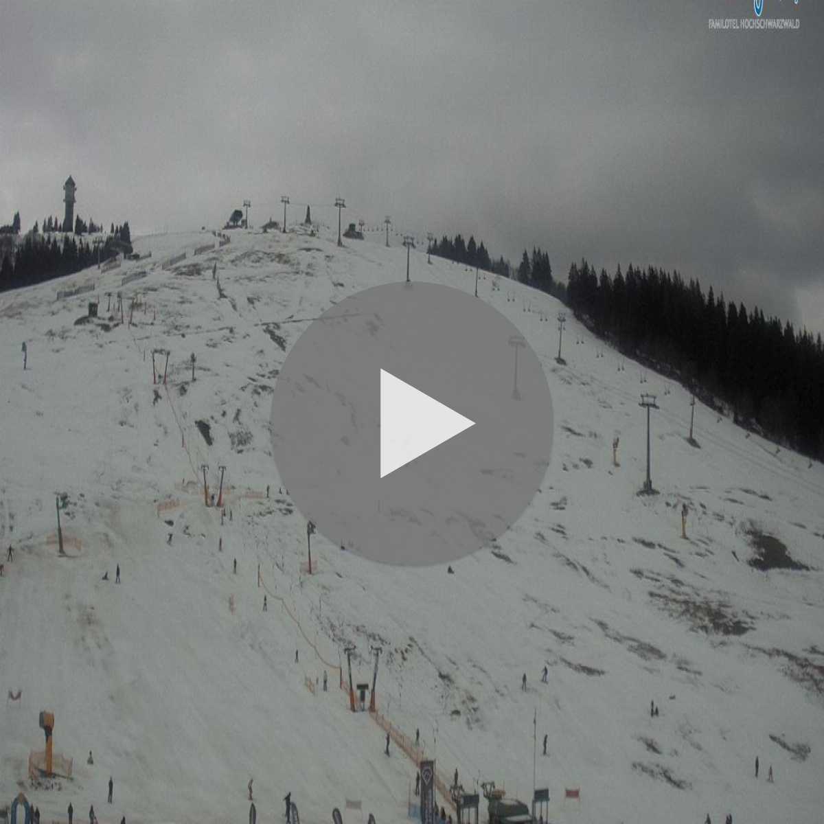 Schallstadt webcam