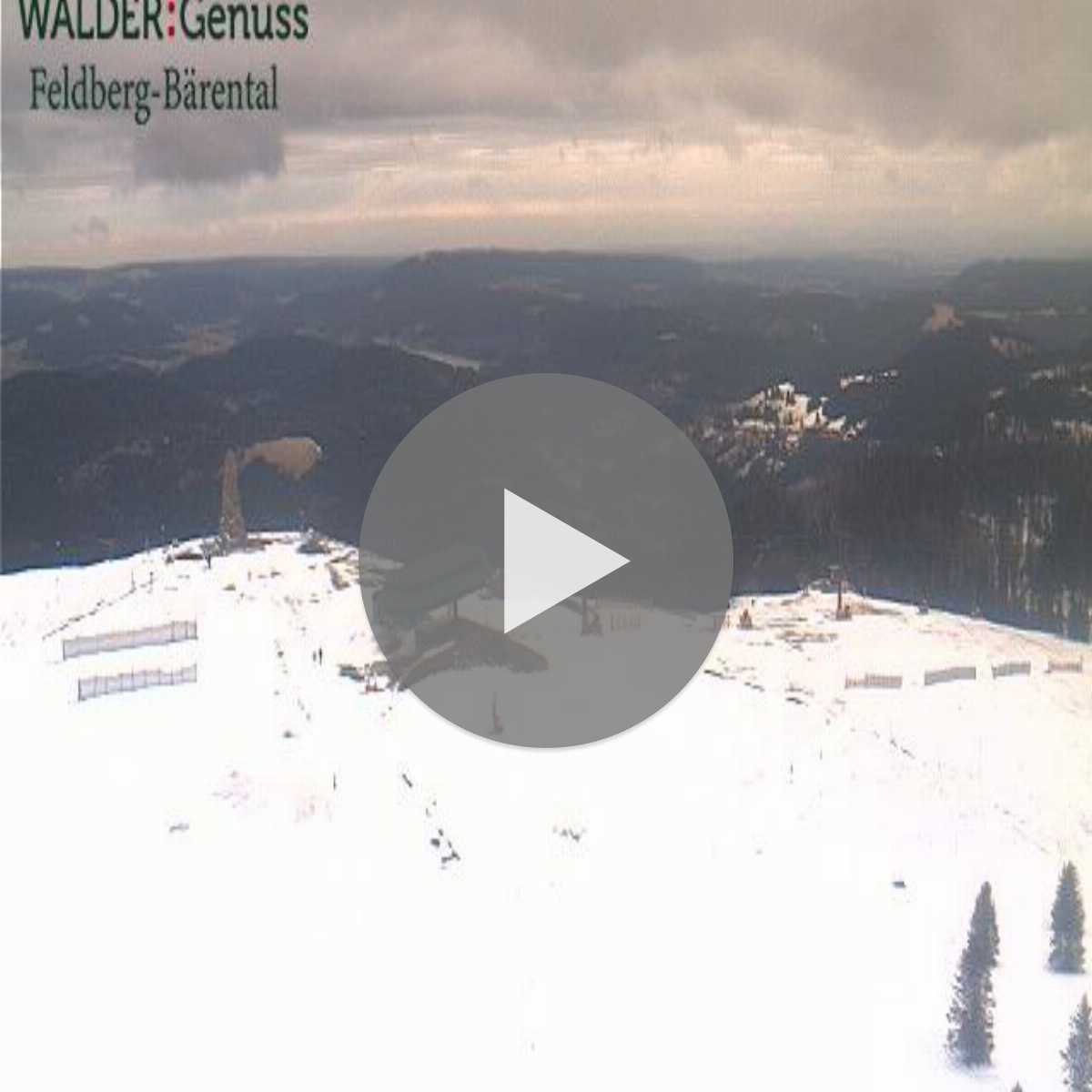 Schallstadt webcam