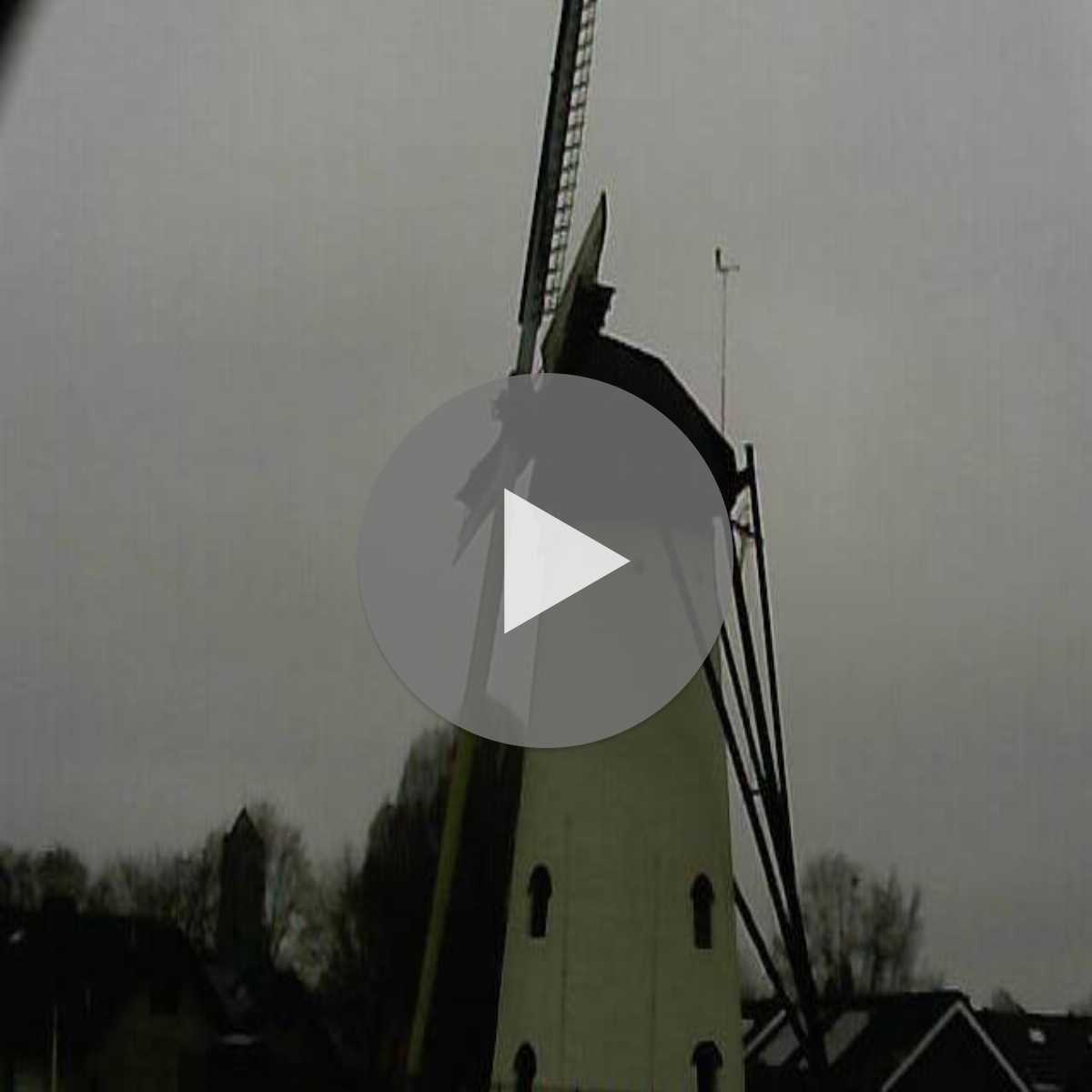 Riesenbeck webcam