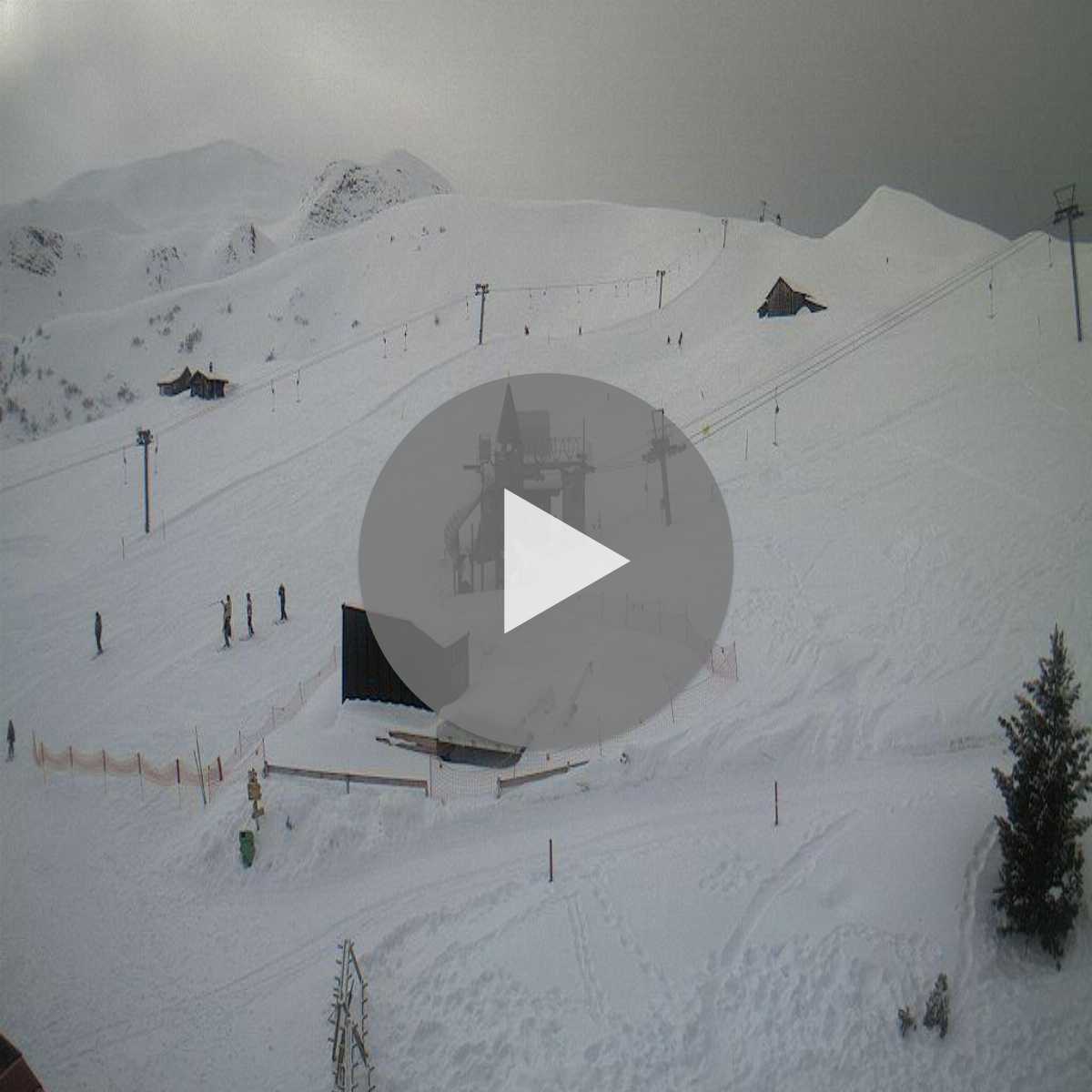 Juf webcam