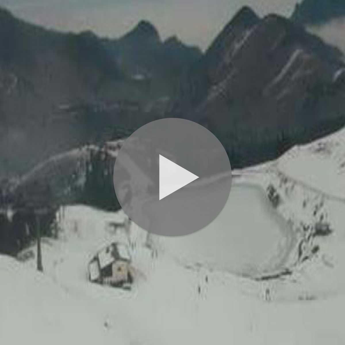 Zachenberg webcam