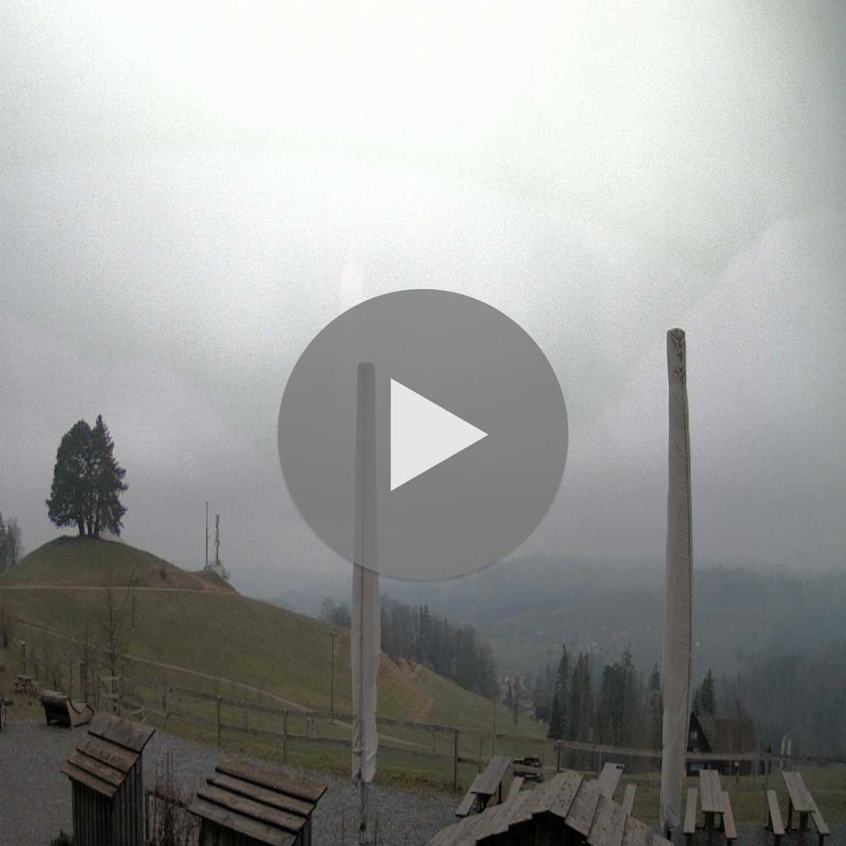 Wildhaus webcam