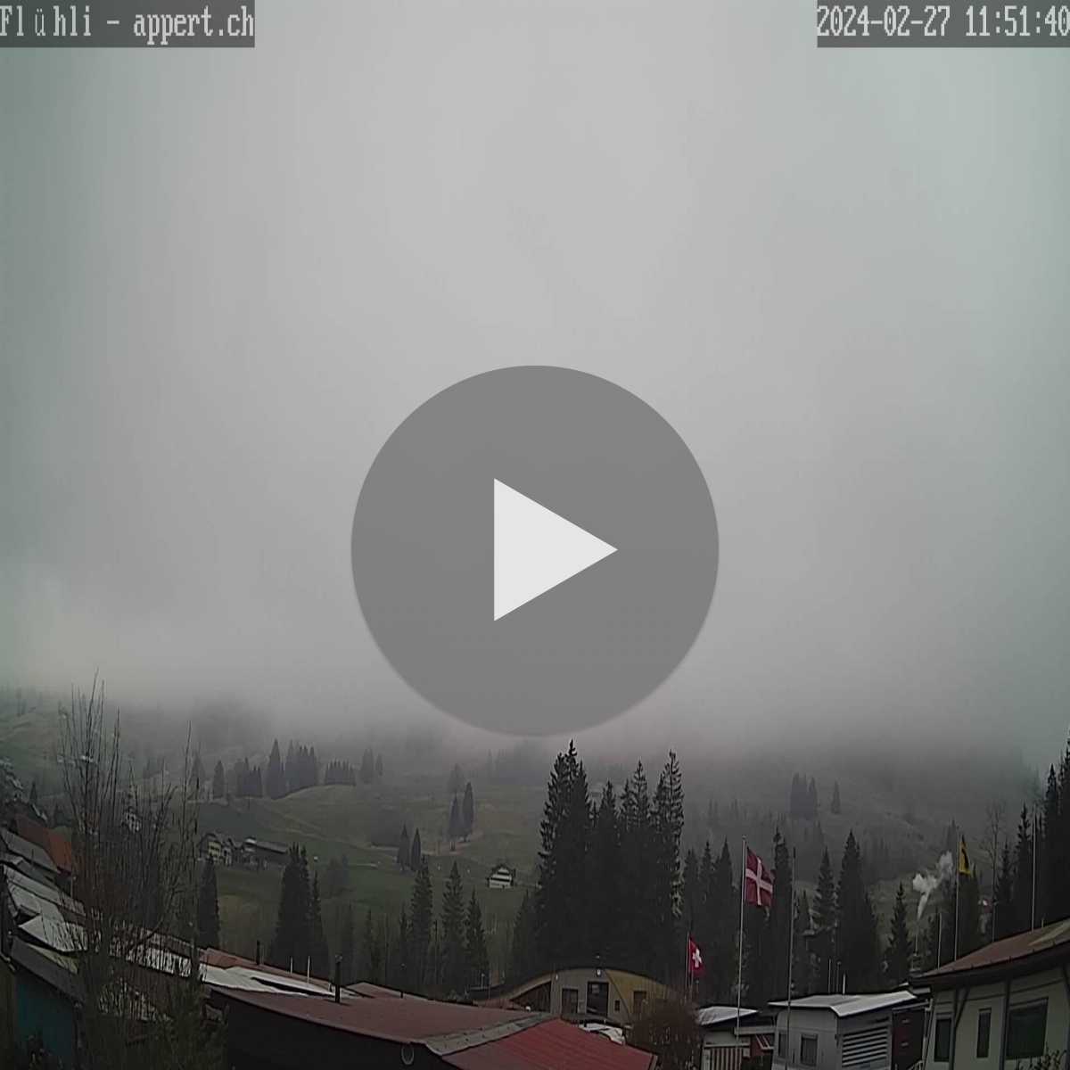 Root webcam