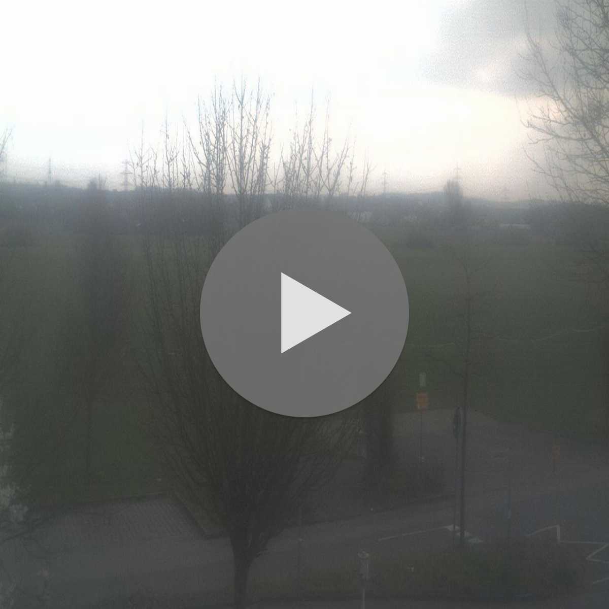 Schallstadt webcam