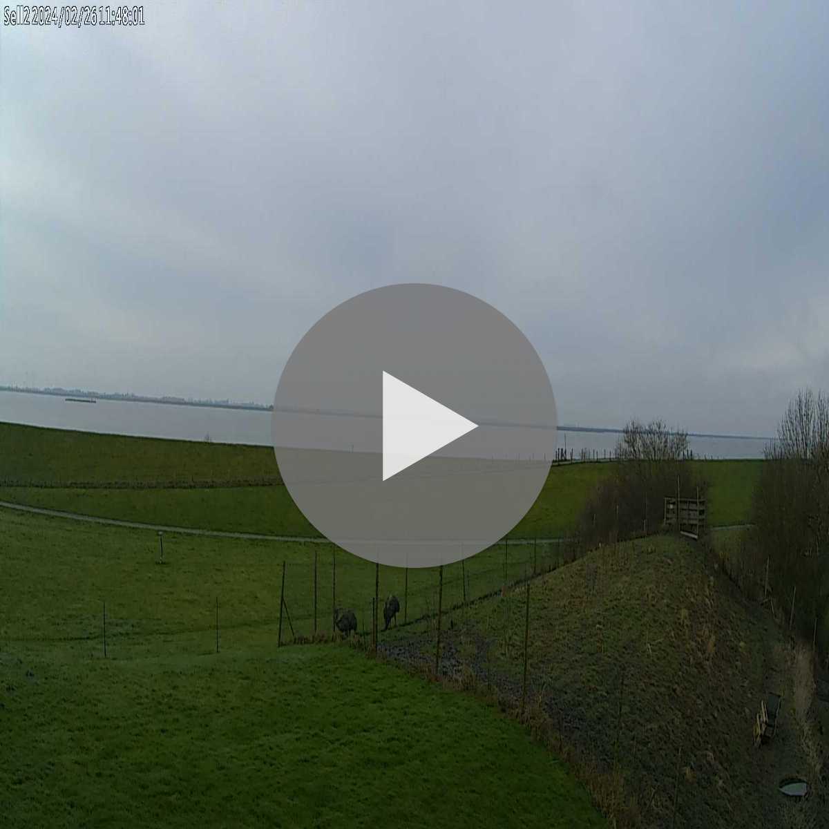 Reppenstedt webcam