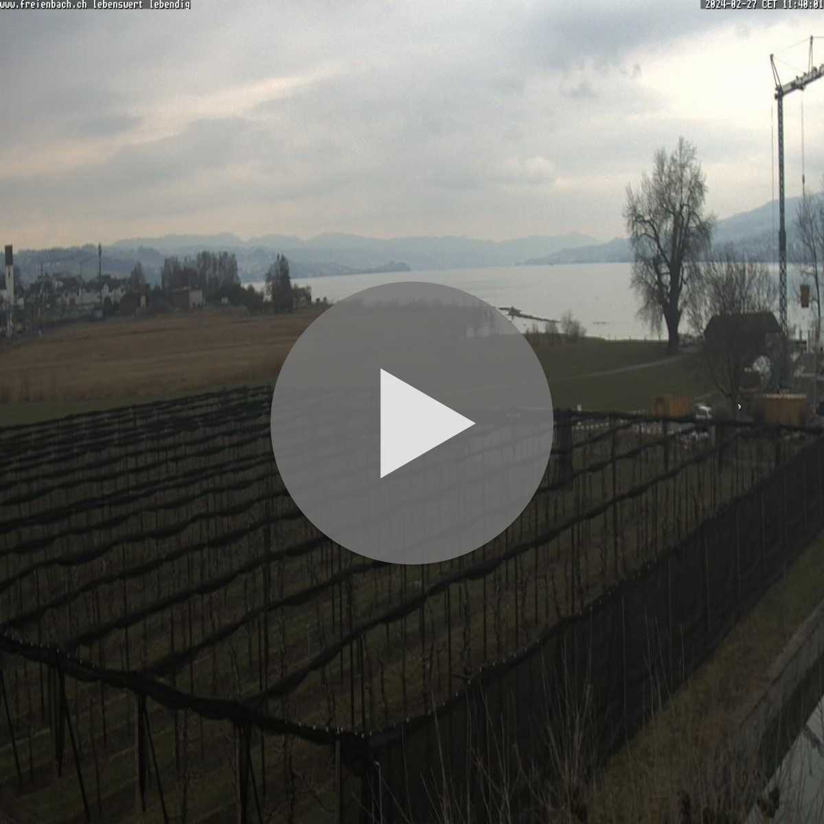 Alpthal webcam
