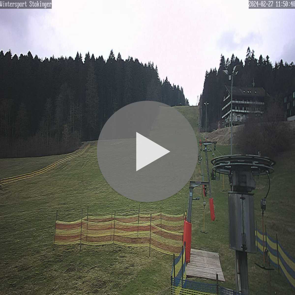 Schallstadt webcam