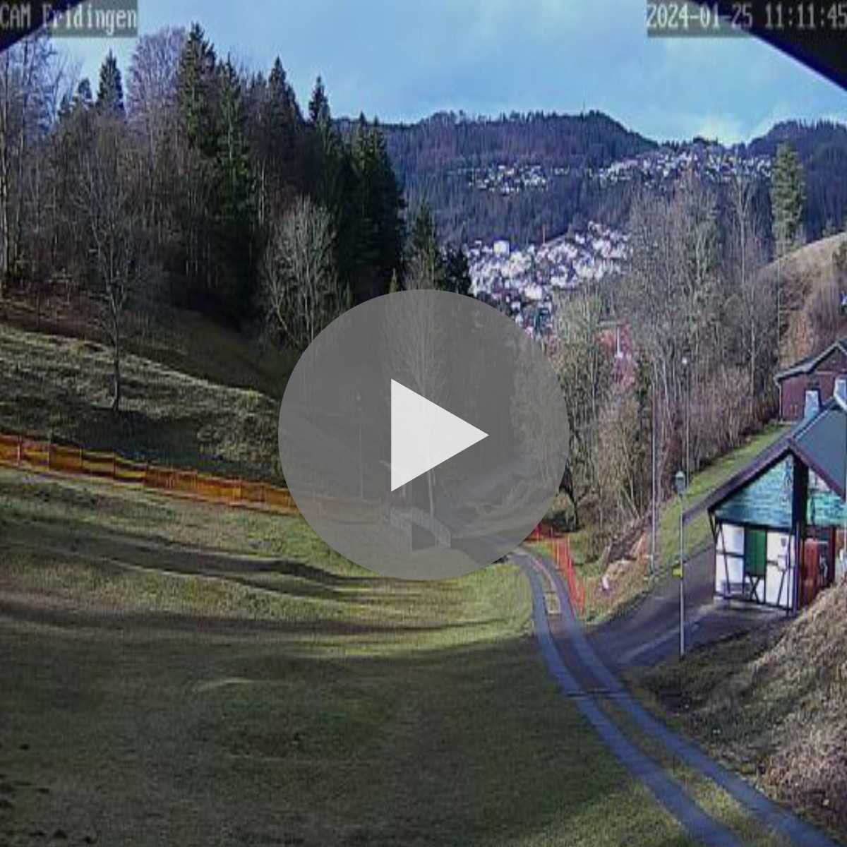 Schallstadt webcam