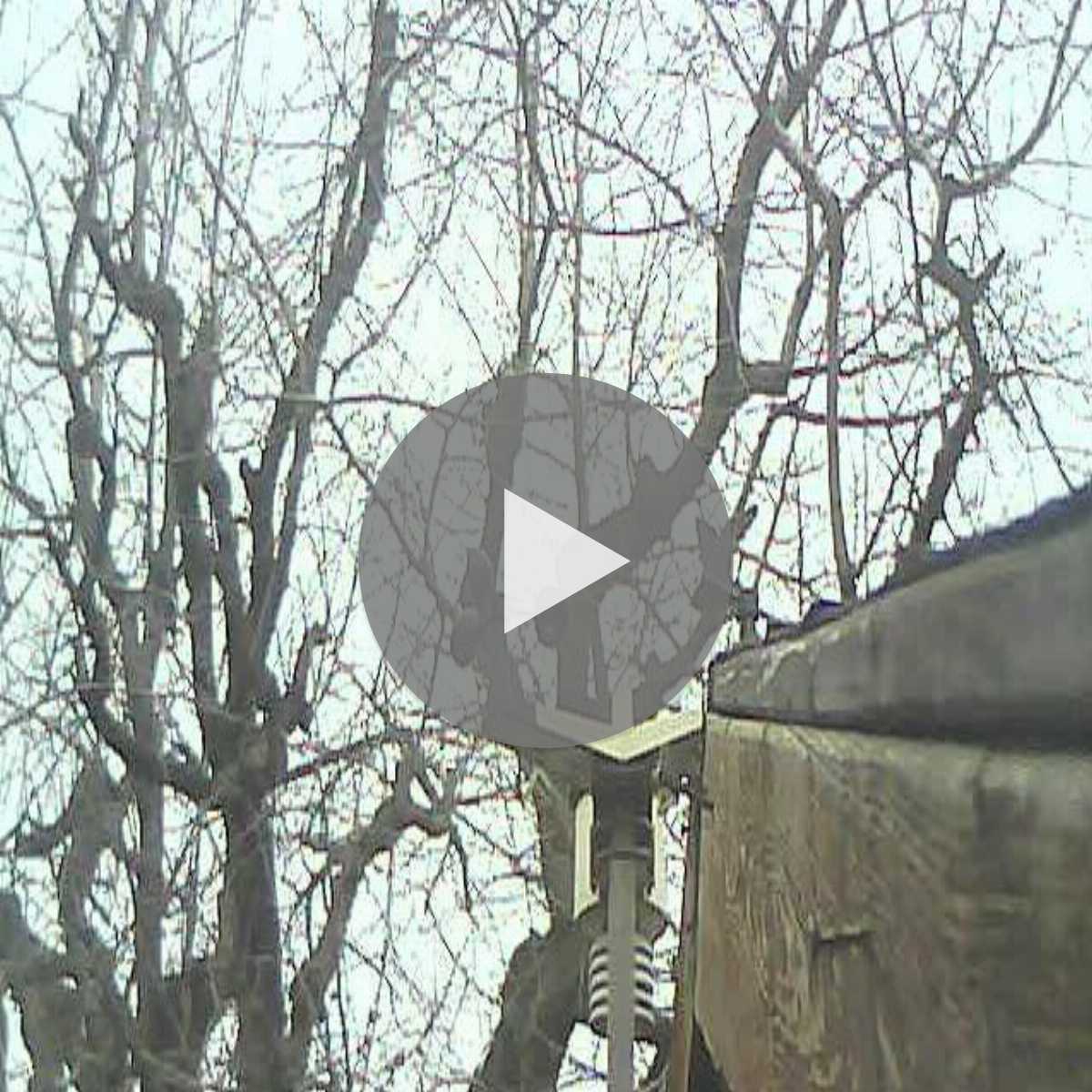 Zachenberg webcam