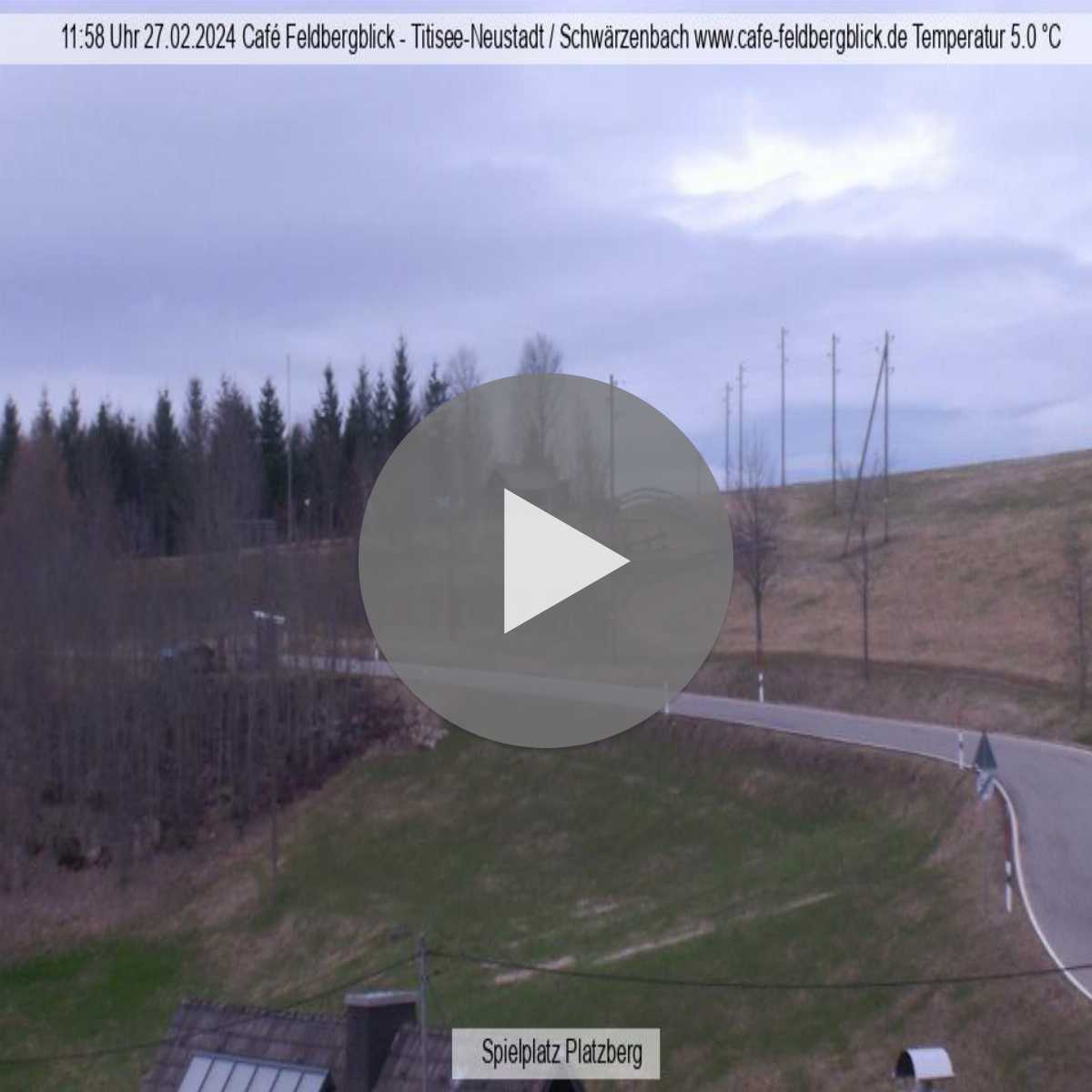 Schallstadt webcam