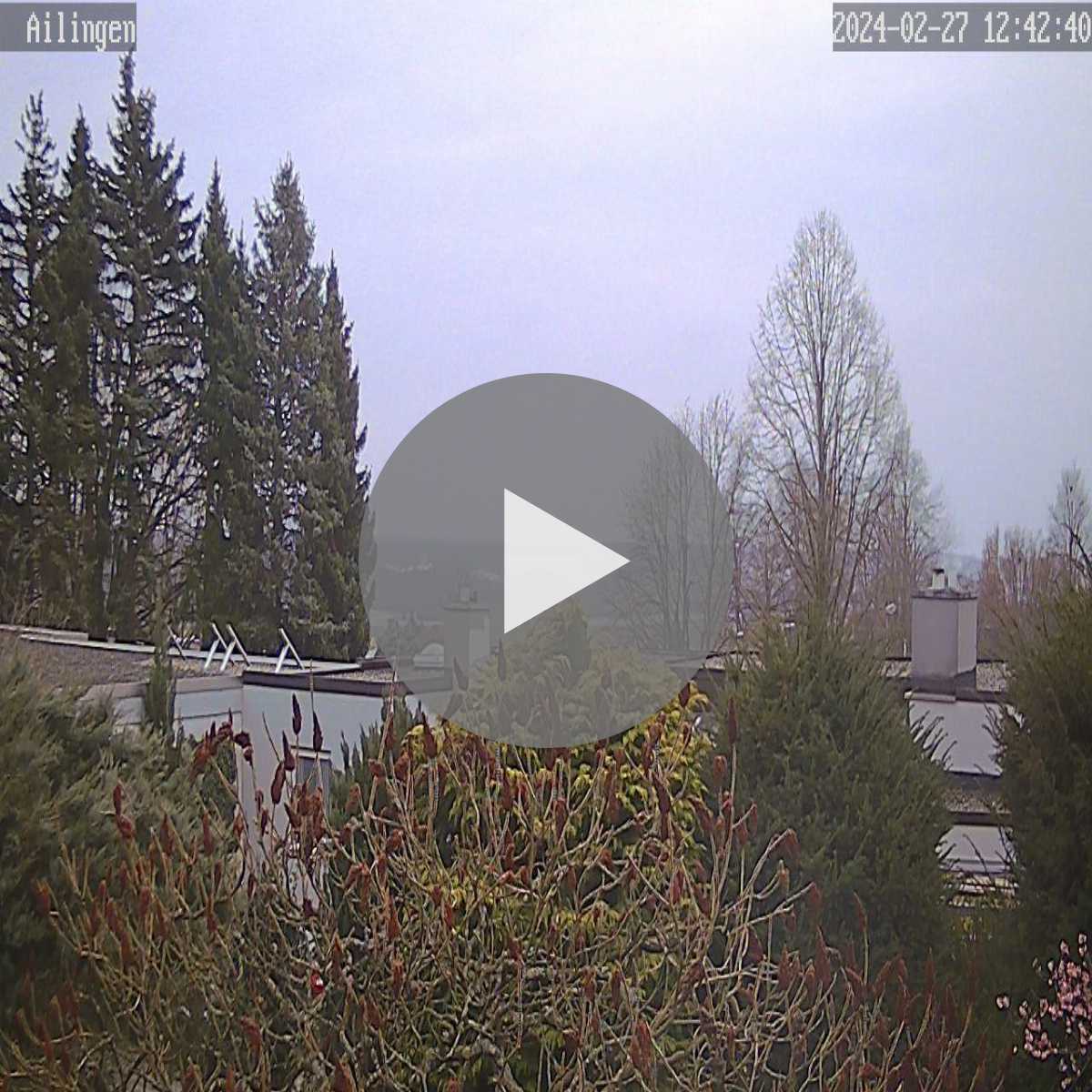 Schallstadt webcam