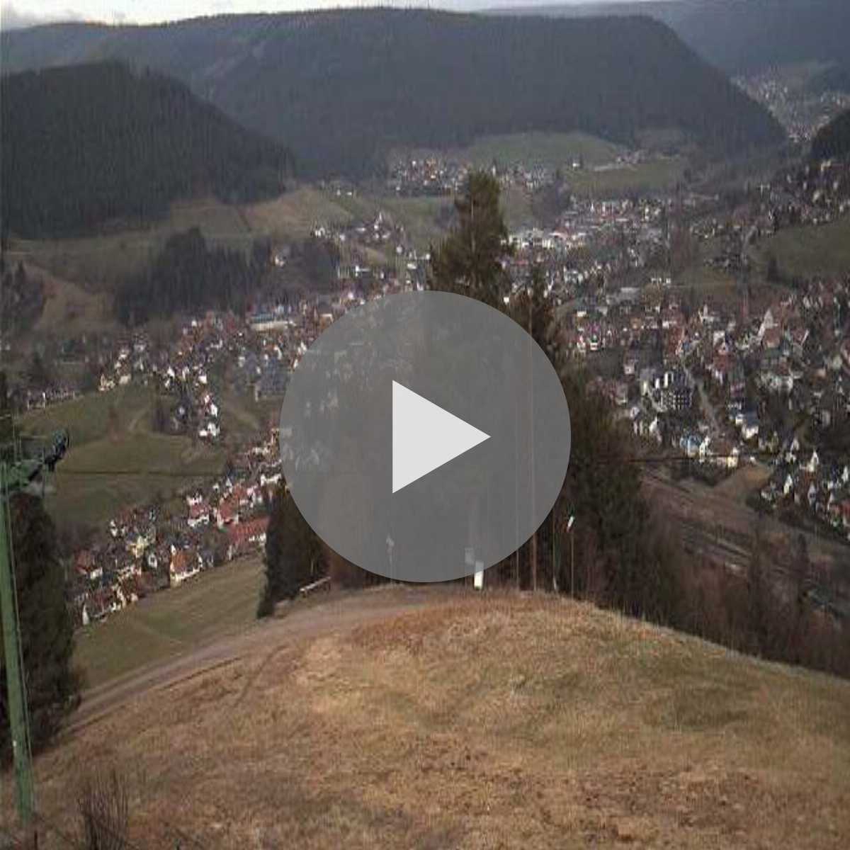 Schallstadt webcam
