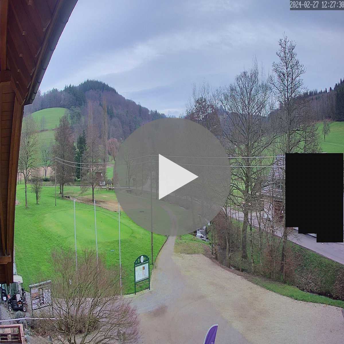 Schallstadt webcam