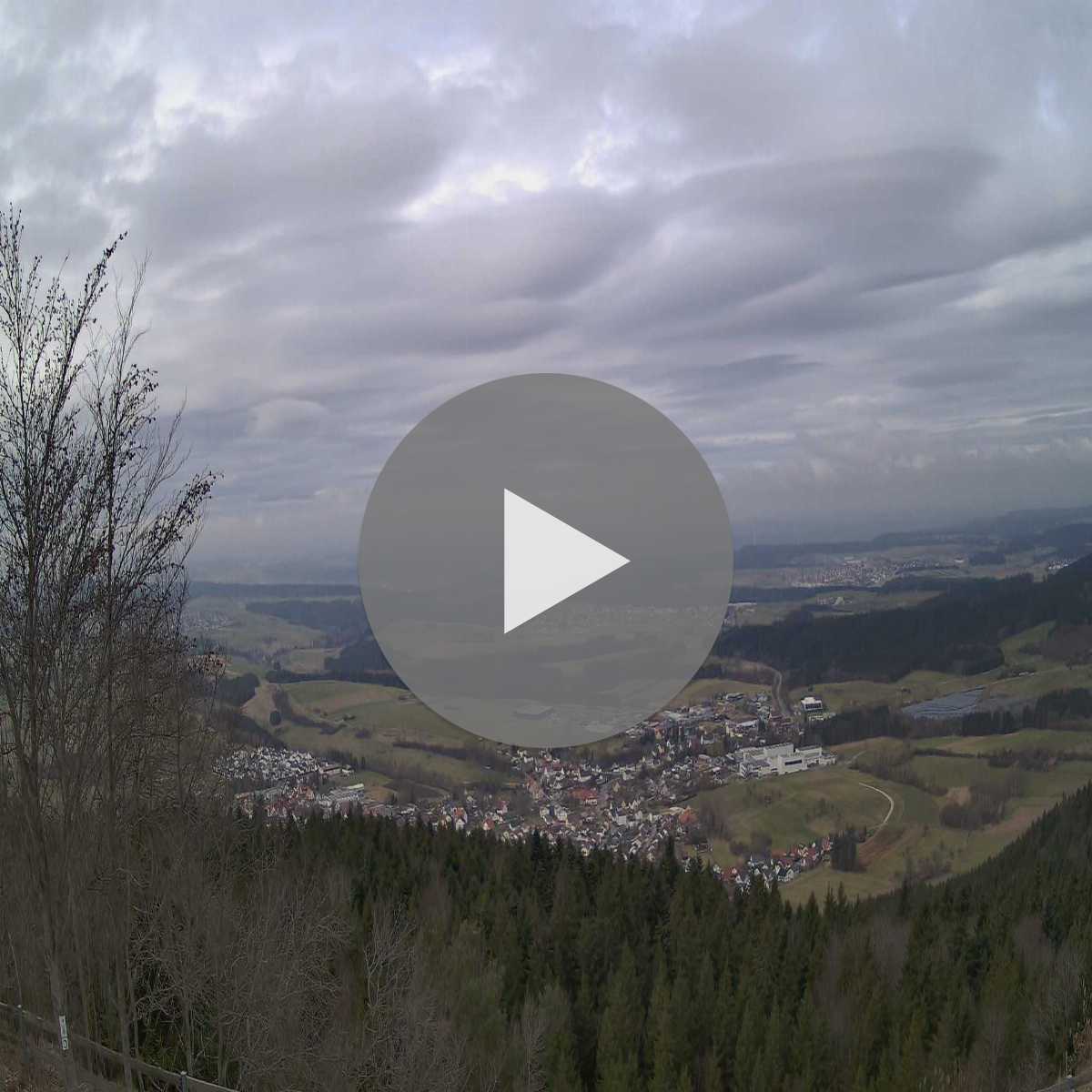 Schallstadt webcam