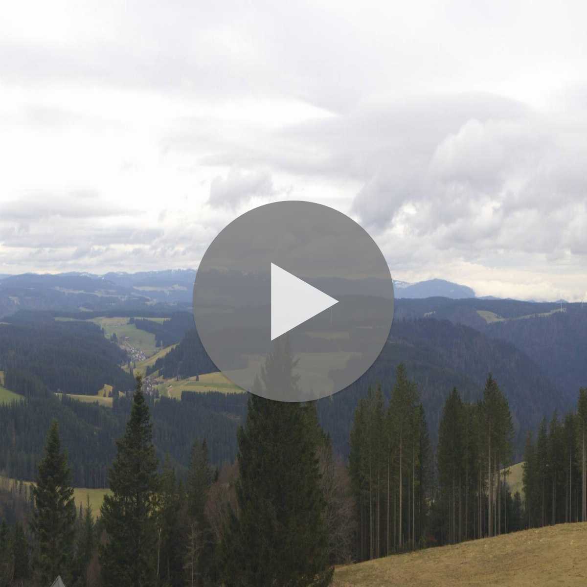 Schallstadt webcam