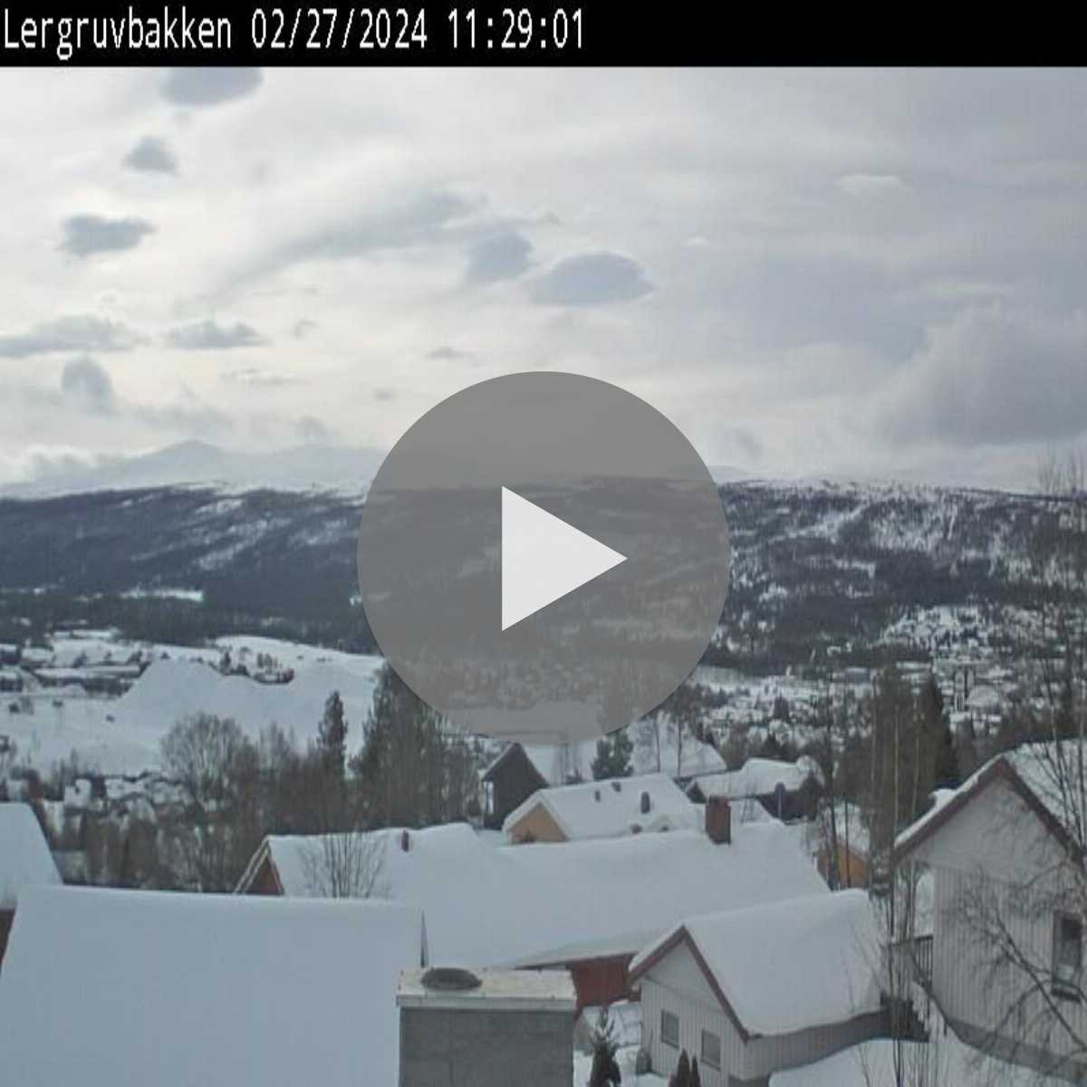 Galaen webcam