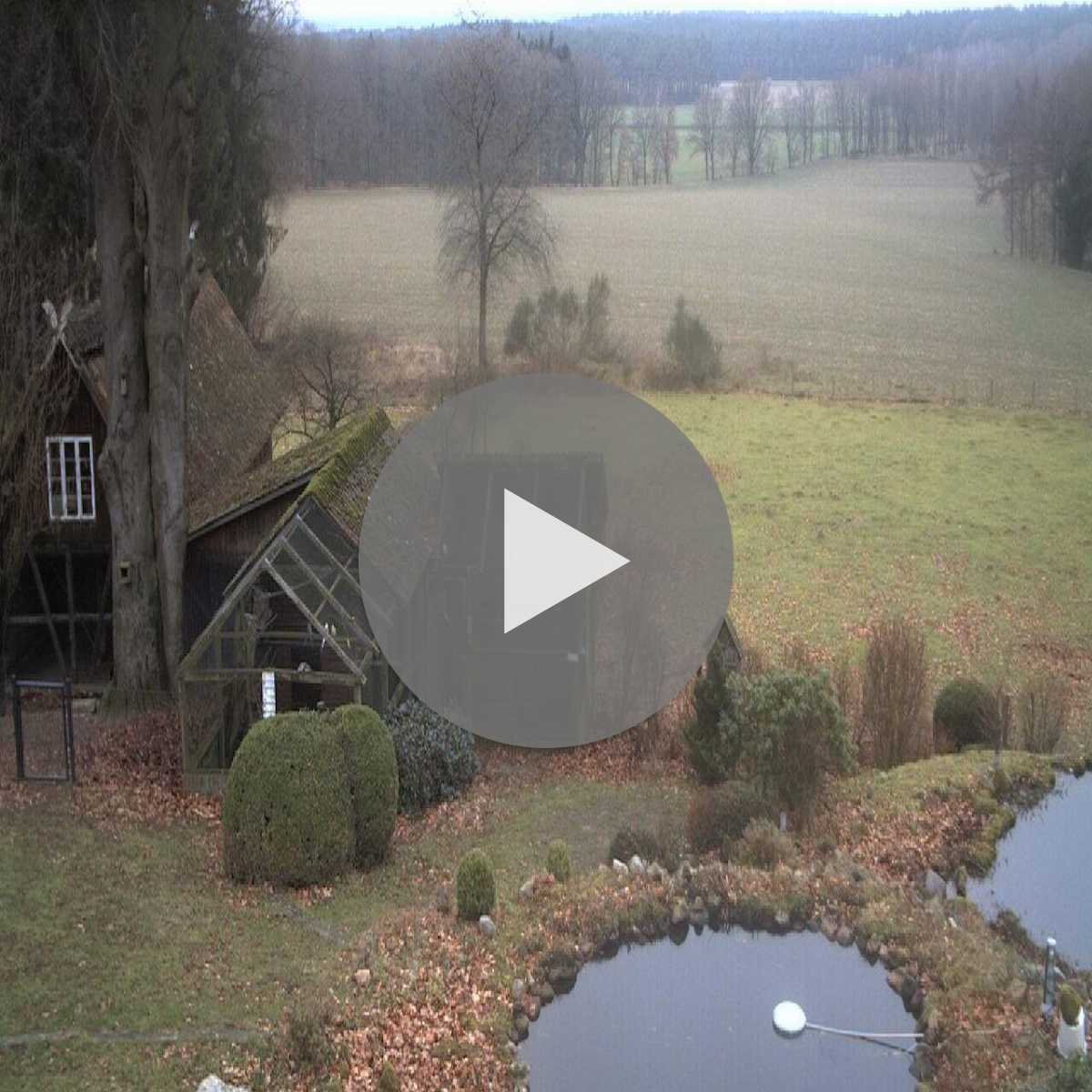 Reppenstedt webcam