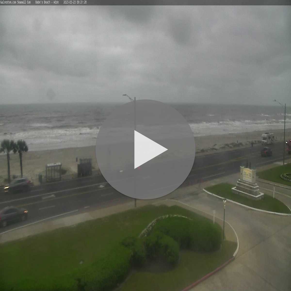 Willis webcam
