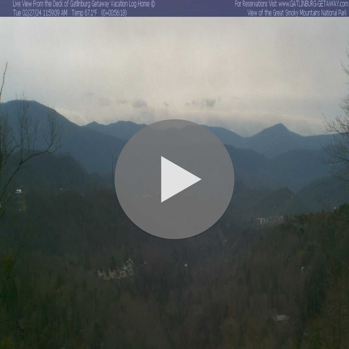 Nashville webcam