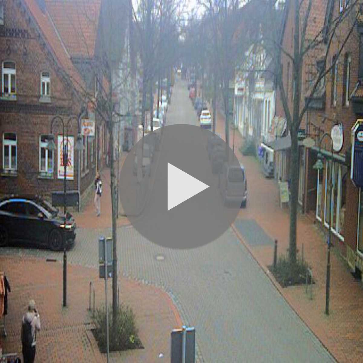 Reppenstedt webcam